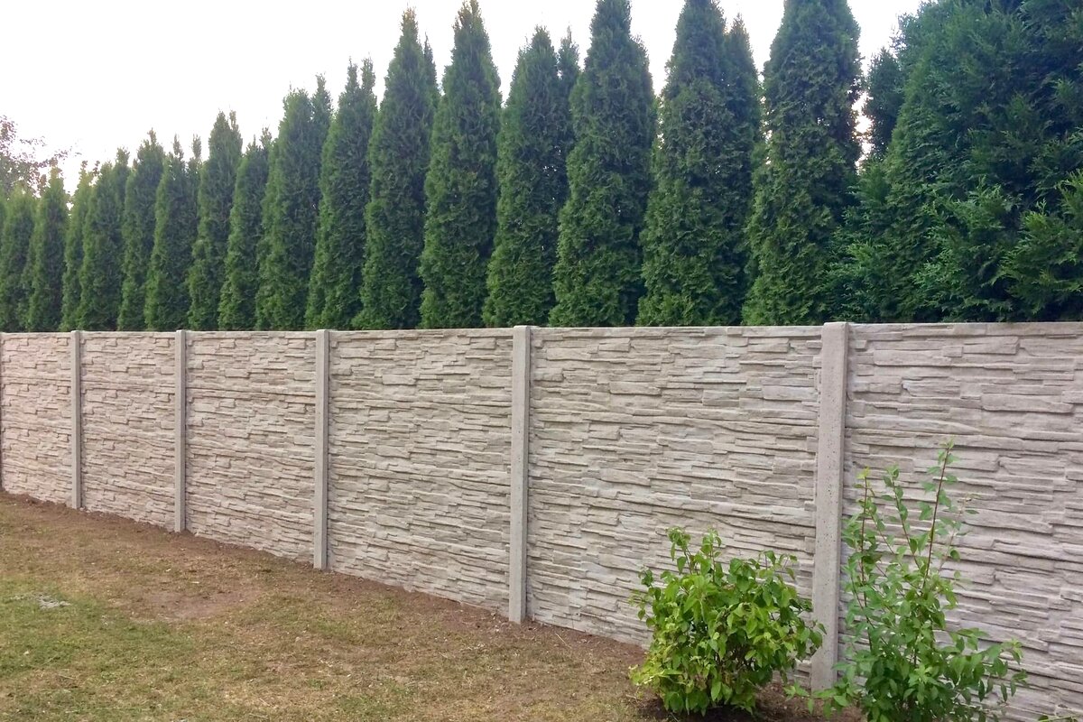 Betonový plot s kamenným vzorem u zahrady s tújemi